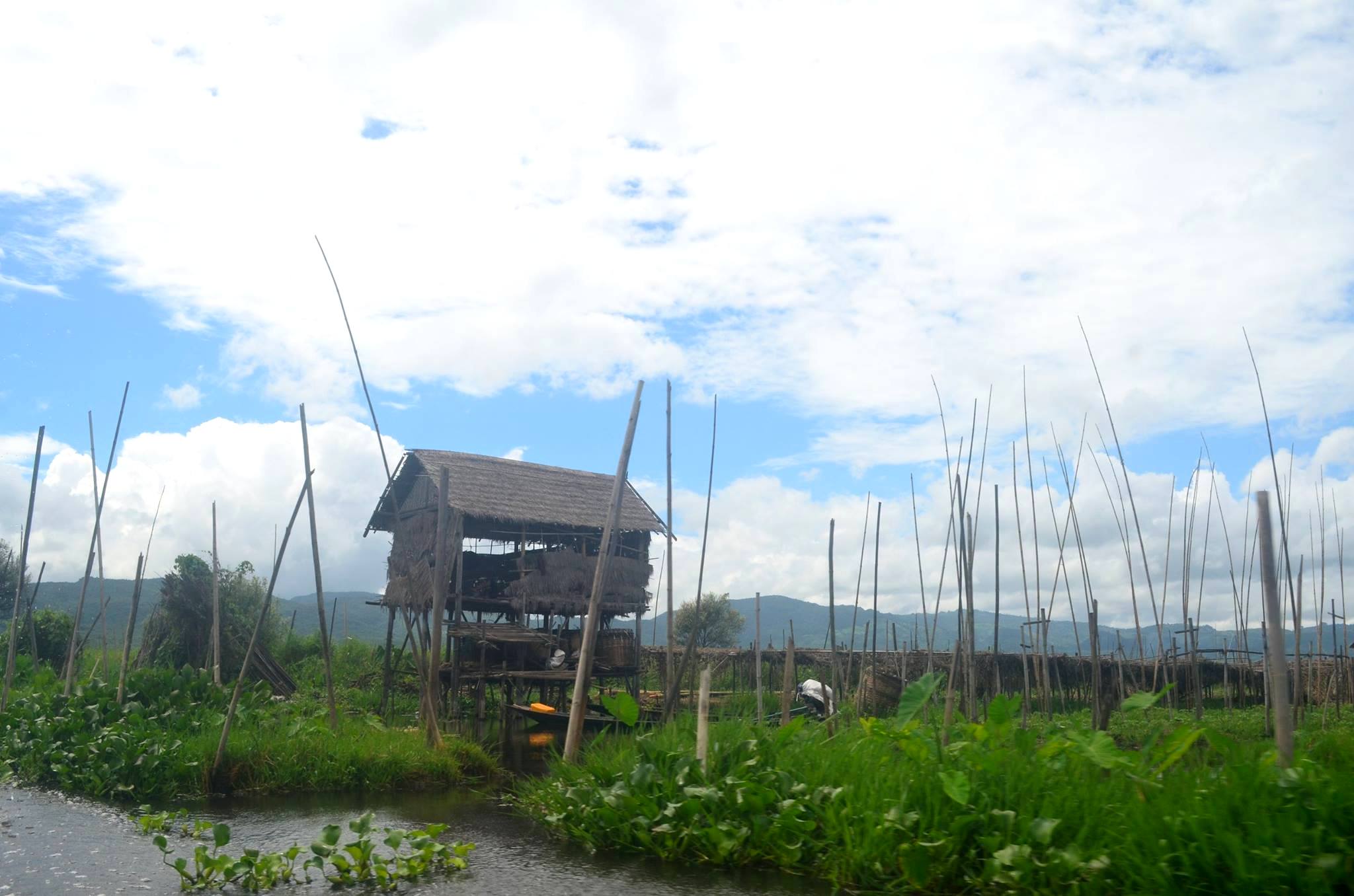 13923309_678237345676468_3255476049367381562_o