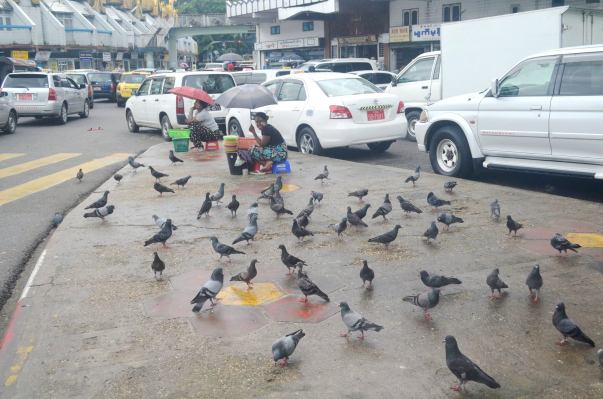 13925945_678231625677040_8803122371194030655_o