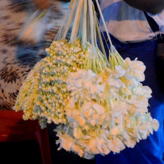 13937821_678230049010531_6016452130432562878_o