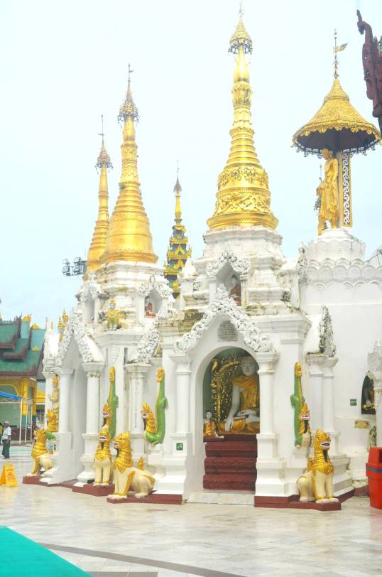 13975292_678230872343782_4954143732543350727_o