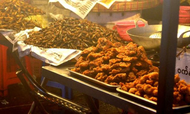 14047138_678230052343864_4133665711862333114_o