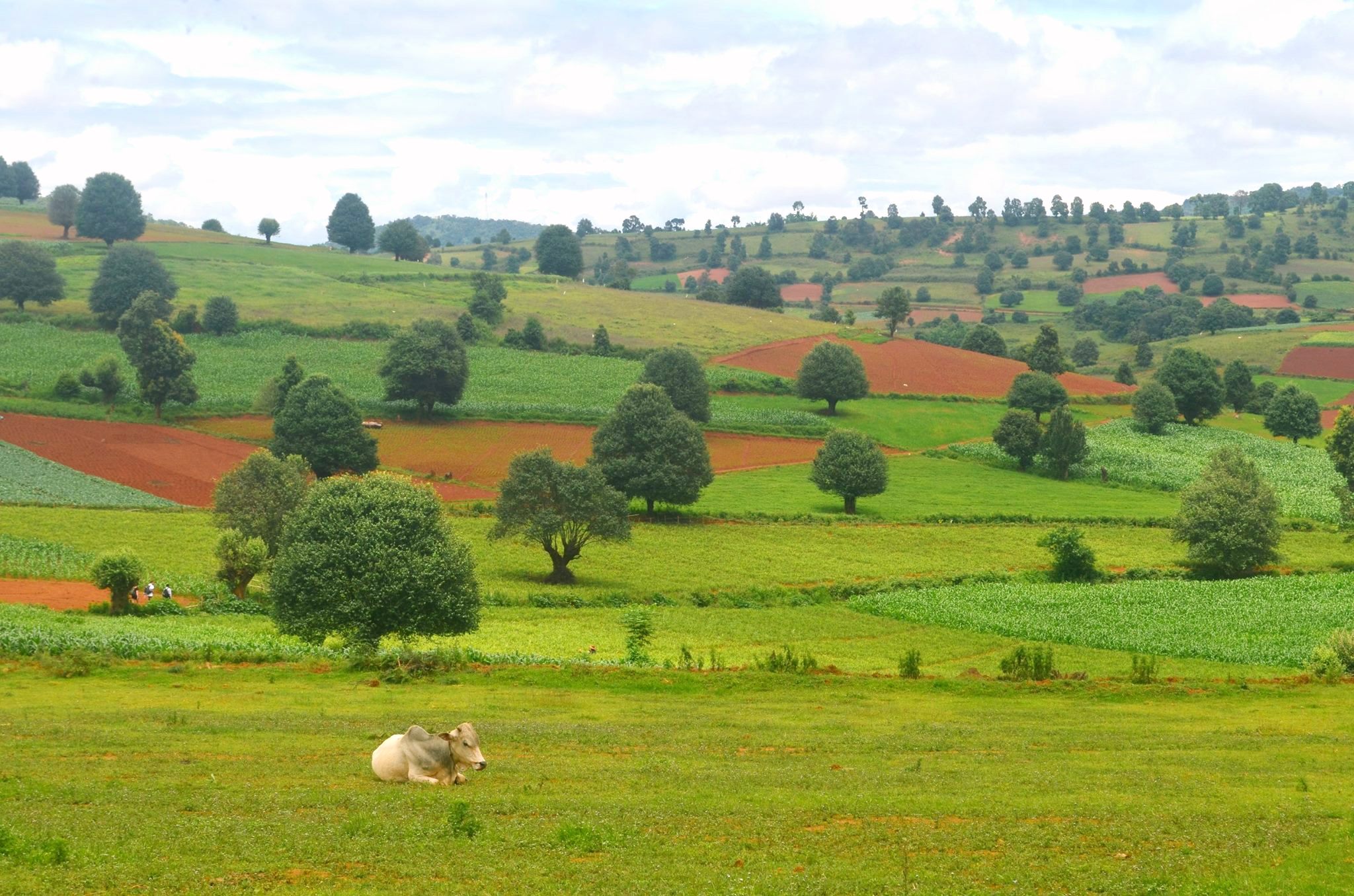 13996259_678237309009805_4504915571260396945_o