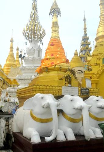 13995514_678230822343787_5794904245031665686_o