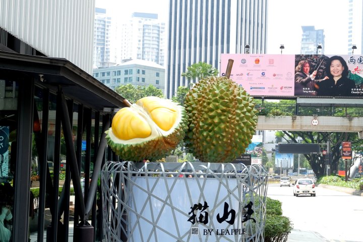 67402151_1376431172523745_2120613130005381120_o